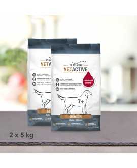 2 x 5 kg PLATINUM Vetactive Senior Hundefoder