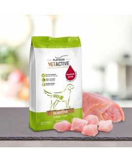 1,5 kg PLATINUM Vetactive Sensitiv Hundefoder Med PLATINUM VETACTIVE Sensitive tilbyder vi din firbenede ven komplet ernæring me