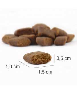 50 gram PLATINUM Vetactive Senior Hundefoder foderprøve