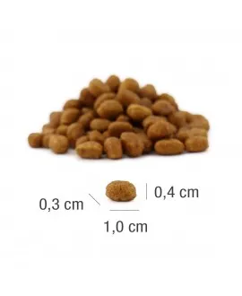 1,5 kg PLATINUM MeatCrisp Kitten Chicken killingemad Kattemad fra PLATINUM&nbsp;som din killing vil elske. For første gang har en Fre